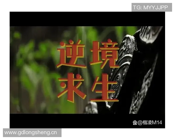 海兰德:在艰难环境中成长的我始终保持准备人生的每一个挑战 海兰德:在艰难环境中成长的我始终保持准备人生的每一个挑战